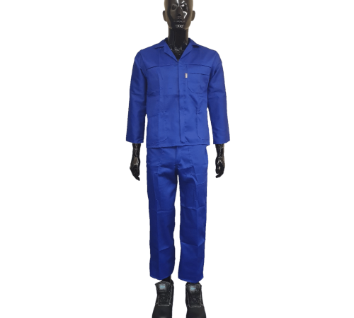 J54 100% cotton conti suits royal blue
