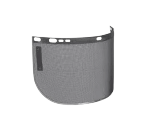 Mesh visor